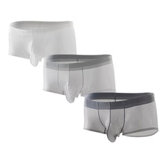 3PCS Men's Ultra Thin Cooling Briefs Lightweight Microfiber Underwear Breathable Design Transparent Underwear Briefs